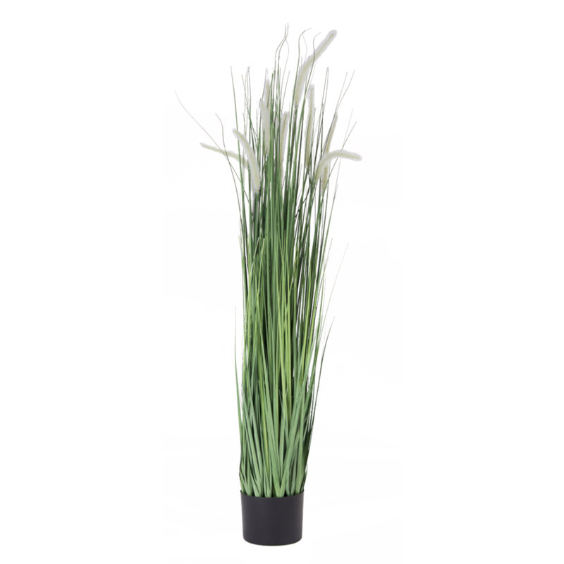 Primrue 2 Piece Artificial Pampas Grass Plant in Pot Set